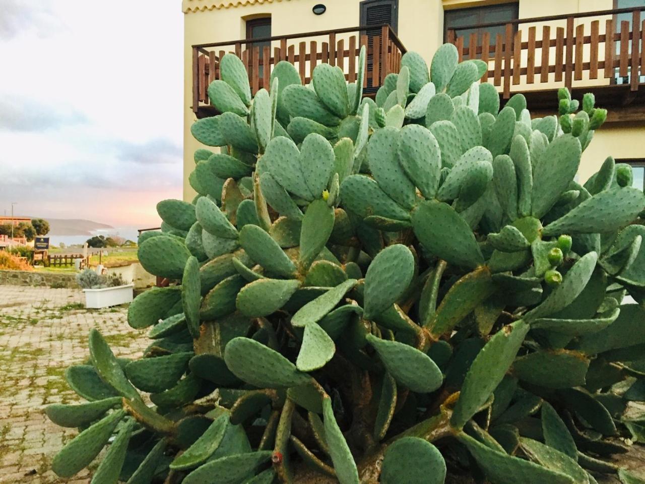 Torre Hotel - Adults Only Torre dei Corsari Εξωτερικό φωτογραφία